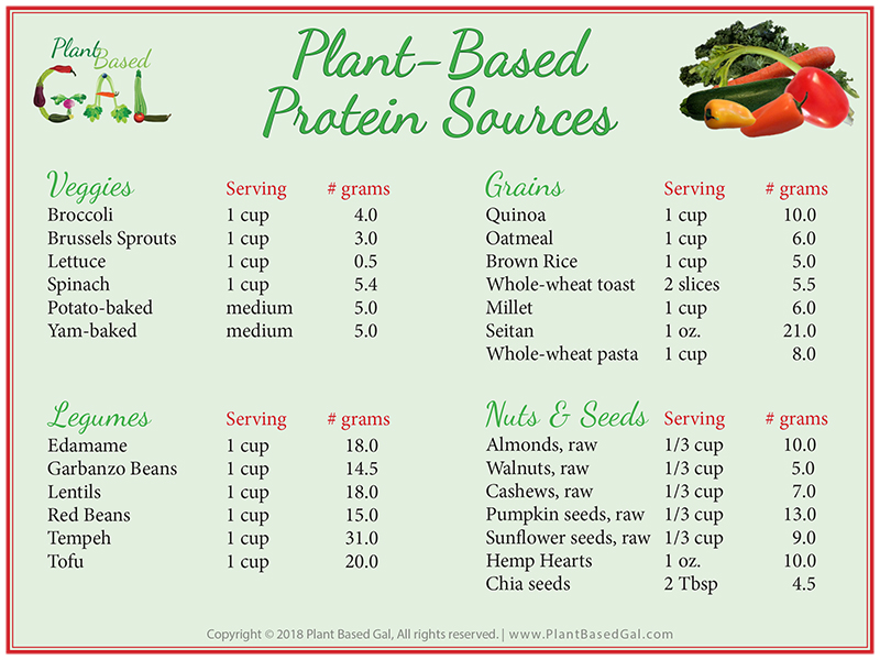 Plant Protein Chart