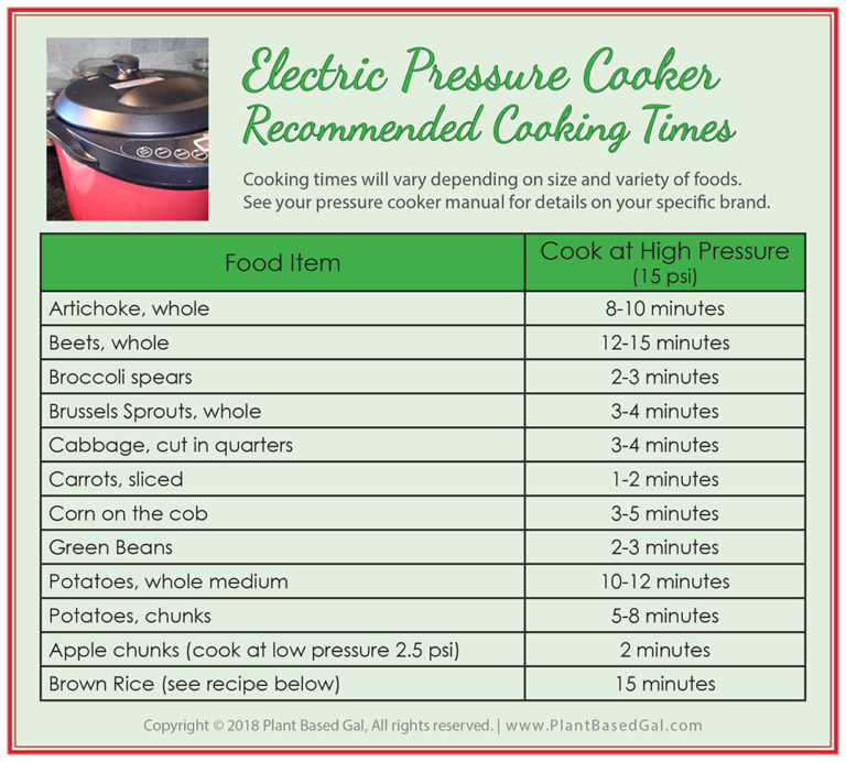 Gadgets and Gizmos - Electric Pressure Cookers - Plant Based Gal